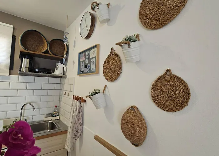 Mali Vacacional * Κοραλέχο